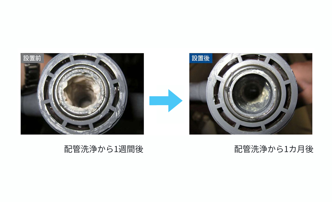汚染の温床、ヌメリやバクテリアを除去