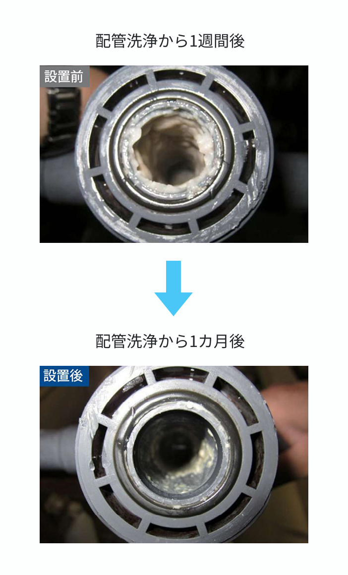 汚染の温床、ヌメリやバクテリアを除去