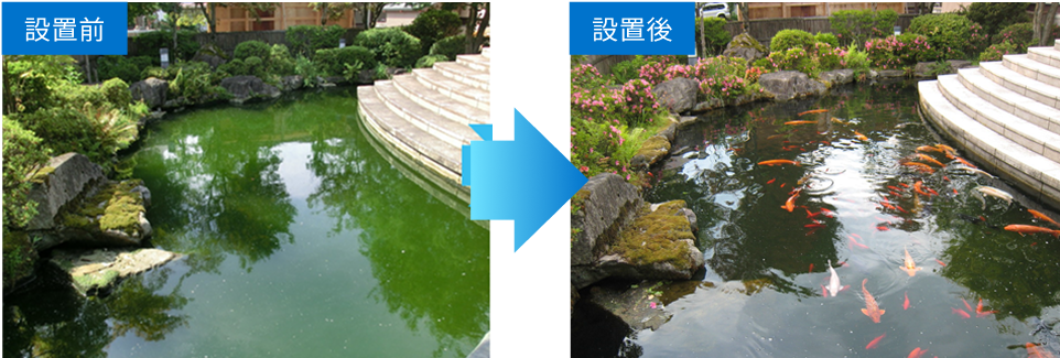 水景