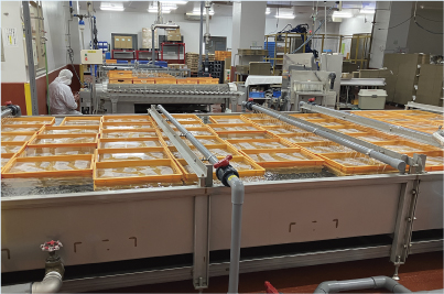 チルド食品製造に用いる循環冷却水の除菌浄化